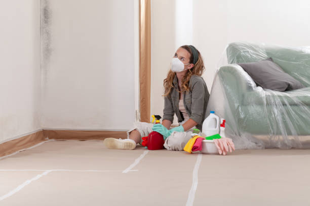 Reliable Mold Removal contractor in East Jordan, MI by WQB Mold Removal